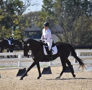 Meet your Posher, Elise